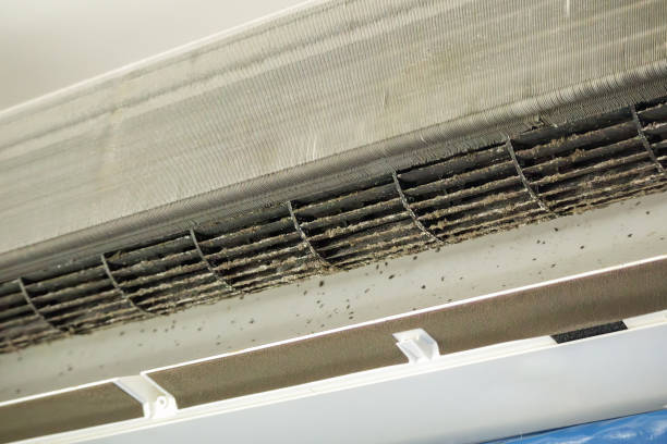 Best Commercial Air Duct Cleaning  in Mayfield, KY